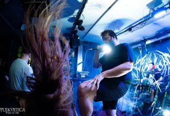 Pighead - Photo by Natalie