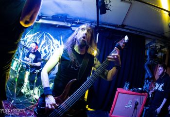 Pighead - Photo by Natalie