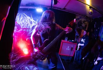 Pighead - Photo by Natalie