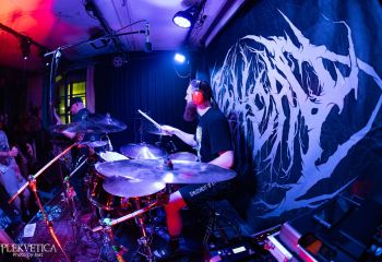 Pighead - Photo by Natalie