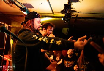 Pighead - Photo by Natalie