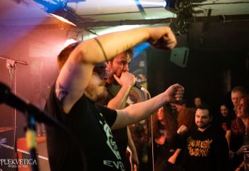 Pighead - Photo by Natalie