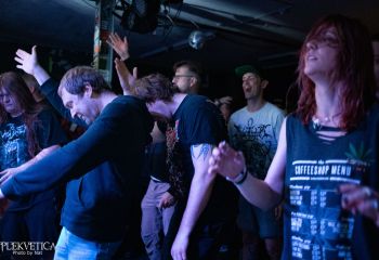 Pighead - Photo by Natalie