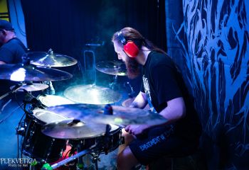 Pighead - Photo by Natalie