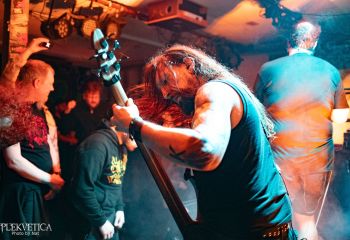 Pighead - Photo by Natalie