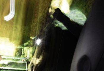 Primitive Man - Photo by Natalie