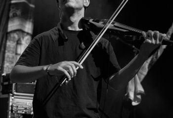 Roses of Thieves - Photo By Peti