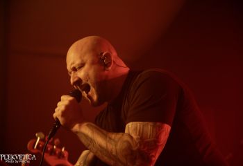 dsc6955