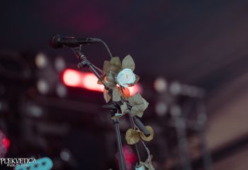 Stoned Statues - Photo by Dänu