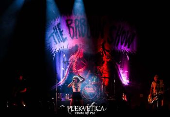 The Baboon Show - Photo by Pat