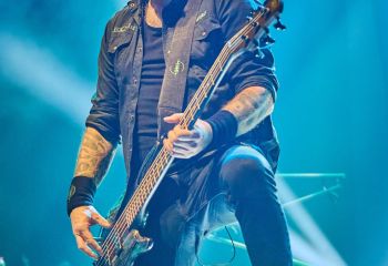 The Halo Effect - Photo By Peti