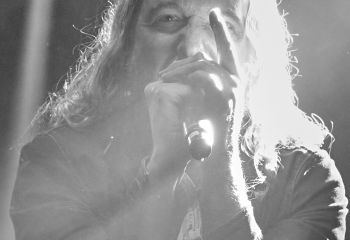 The Halo Effect - Photo By Peti