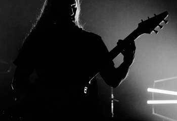 The Halo Effect - Photo By Peti