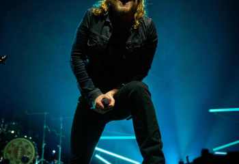 The Halo Effect - Photo By Peti