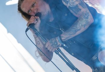 Thyrargo - Photo by Dänu