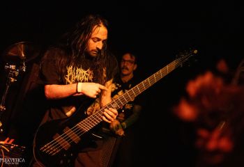 Waking the Cadaver - Photo by Natalie