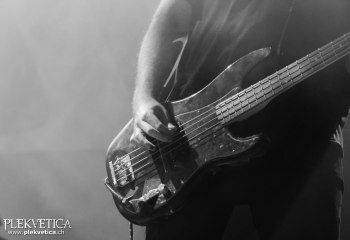 Acres - Photo by Pat