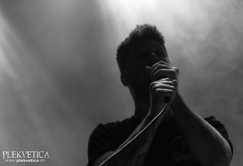 Acres - Photo by Pat