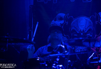 Amalgama - Photo by Roli