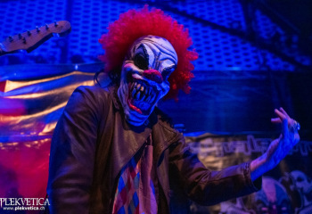 Amalgama - Photo by Roli