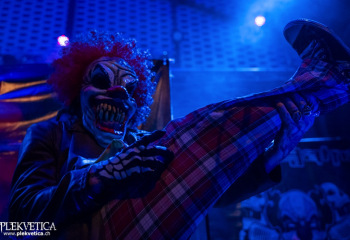 Amalgama - Photo by Roli