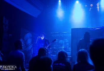 Amalgama - Photo by Roli