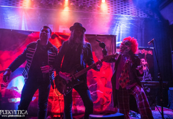 Amalgama - Photo by Roli