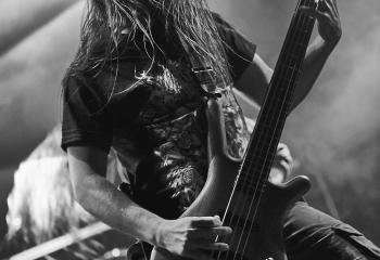 Carnivore Diprosopus - Photo By Dänu