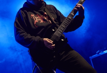 Carnivore Diprosopus - Photo By Dänu