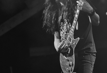 Carnivore Diprosopus - Photo By Dänu