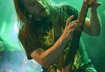 Carnivore Diprosopus - Photo By Dänu