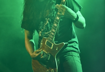 Carnivore Diprosopus - Photo By Dänu