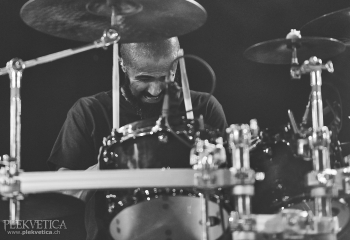 Carnivore Diprosopus - Photo By Dänu