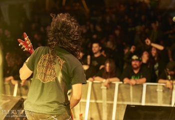 Carnivore Diprosopus - Photo By Dänu