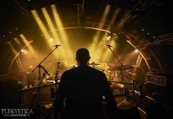 Carnivore Diprosopus - Photo By Dänu