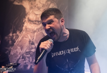 Driven Under - Photo by Nati