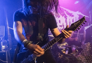 Endlevel - Photo By Marc