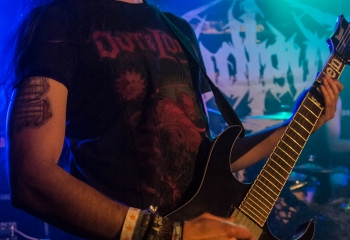 Endlevel - Photo By Marc