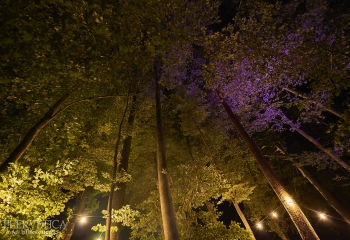 Impressionen - Photo By Dänu