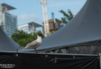 Impressionen - Photo by Dänu