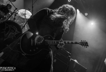 Pertness - Photo By Marc