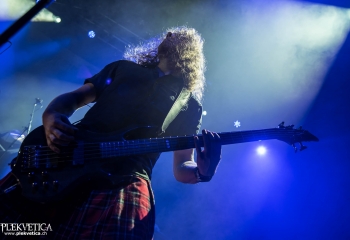 Pertness - Photo By Marc