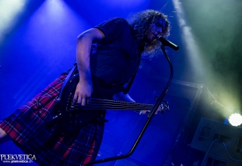 Pertness - Photo By Marc