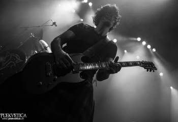 Pertness - Photo By Marc