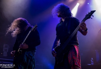 Pertness - Photo By Marc