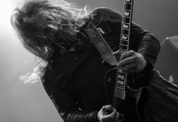 Pertness - Photo By Marc