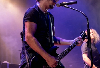 Pertness - Photo By Marc