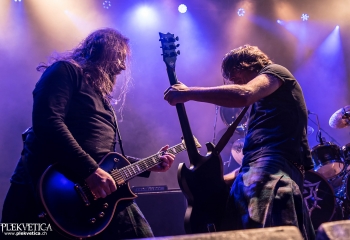 Pertness - Photo By Marc