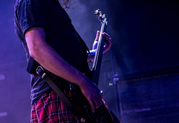 Pertness - Photo By Marc