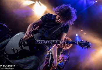 Pertness - Photo By Marc